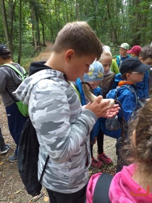 lesni pedagogikca_56
