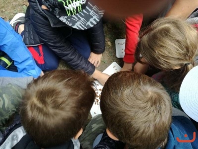 lesni pedagogikca_62