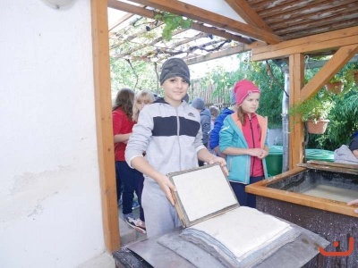 papirna_46