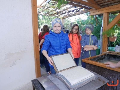 papirna_47