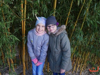 papirna_52