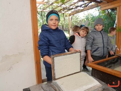 papirna_55