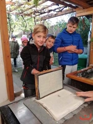 papirna_74