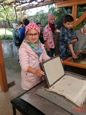 papirna_79