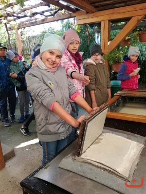 papirna_82