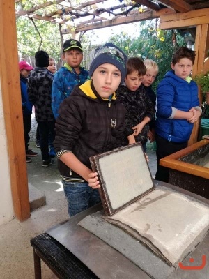 papirna_85