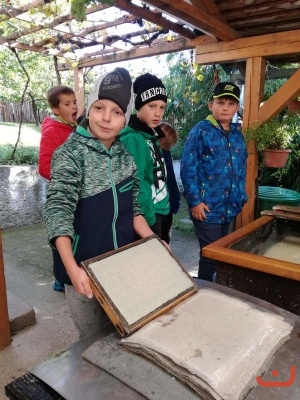 papirna_89