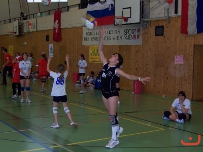 Volejbalový turnaj ve Vídni