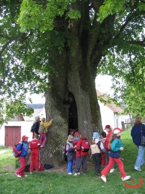 Škola v přírodě 2.A a 3.B