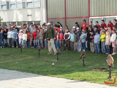 Dravci ve škole