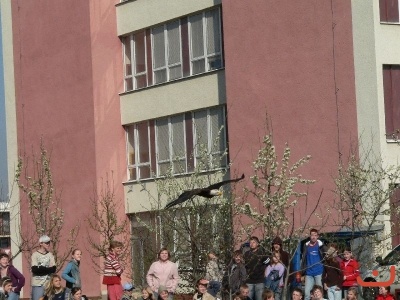 Dravci ve škole