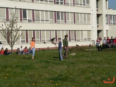 Dravci ve škole