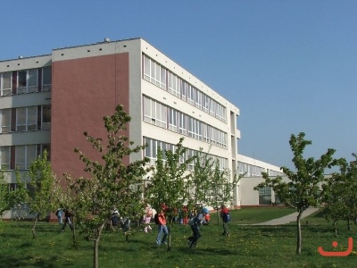 Ekosystém lesa