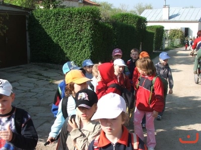 Ekosystém lesa
