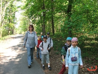 Ekosystém lesa