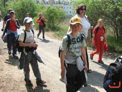 Ekosystém lesa