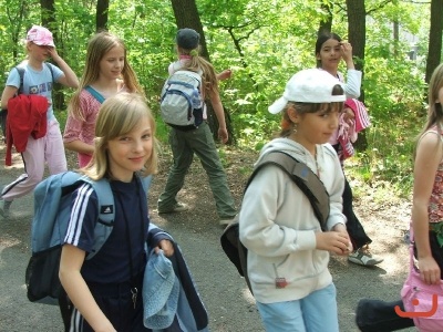 Ekosystém lesa