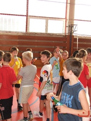 Turnaj v přehazované