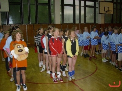 Okresní turnaj ve vybíjené
