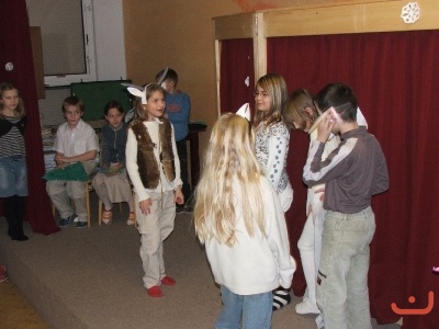 Vánoční strom 2007