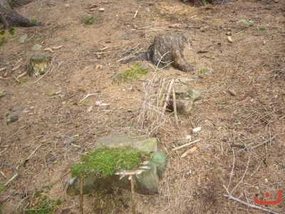 Škola v přírodě 2.stupně