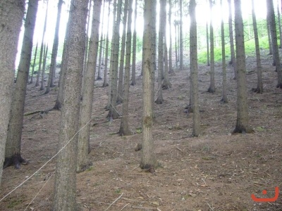 Škola v přírodě 2.stupně