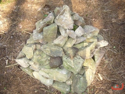 Škola v přírodě 2.stupně