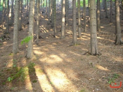 Škola v přírodě 2.stupně