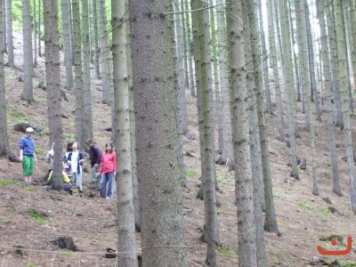 Škola v přírodě 2.stupně