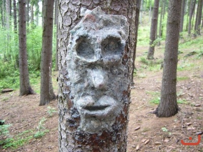 Škola v přírodě 2.stupně