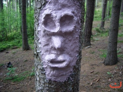 Škola v přírodě 2.stupně