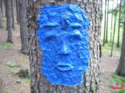 Škola v přírodě 2.stupně