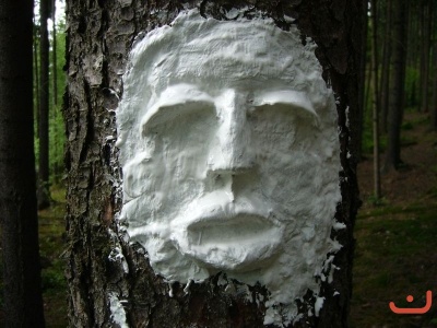 Škola v přírodě 2.stupně