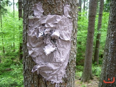 Škola v přírodě 2.stupně