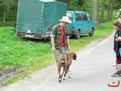 Škola v přírodě 2.stupně