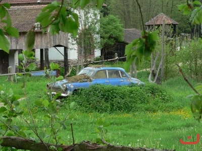 Škola v přírodě 2.stupně