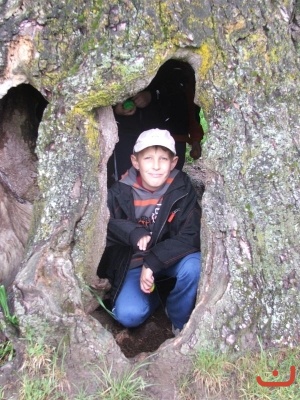 Škola v přírodě 3. tříd