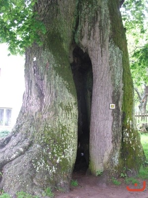 Škola v přírodě 3. tříd