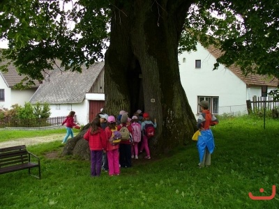 Škola v přírodě 2. tříd