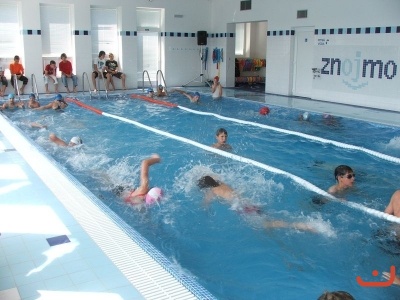 Plavecké závody školy