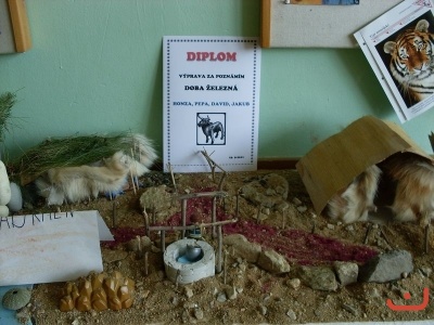 Projektový den 5.B - Pravěk