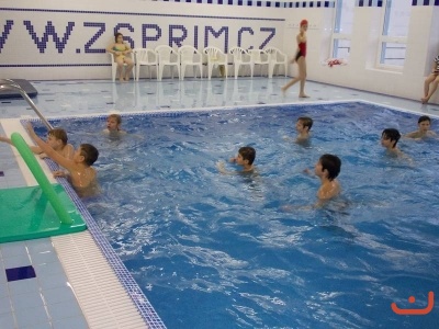 Plavecké závody
