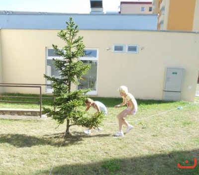 Letní volejbalový tábor