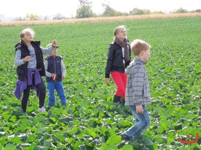 Drakiáda