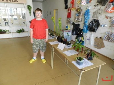 P.Kolodin - masožravé rostliny