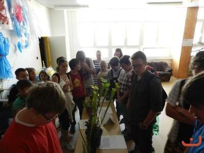 P.Kolodin - masožravé rostliny