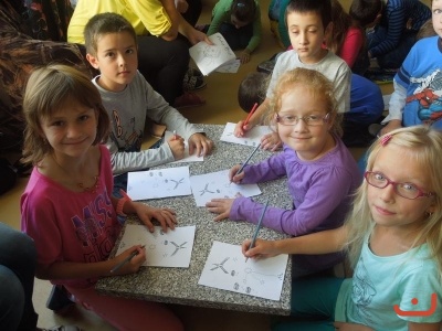 Projekt Prokop Diviš