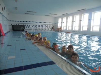 Vánoční plavání