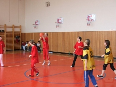 OPbasketzakyne
