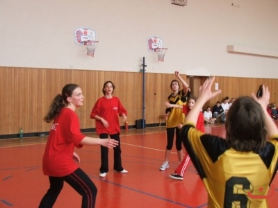 OPbasketzakyne